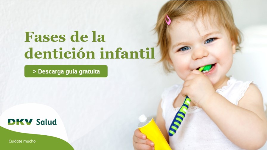 Ebook Gratuito Fases De La Dentición Infantil 2428